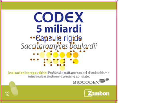 CODEX*12CPS 5MLD 250MG BIOCODEX