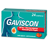 GAVISCON*24CPR FRAG250+133,5MG RECKITT BENCKISER H.(IT.) SpA