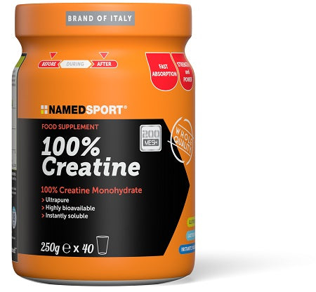 100% CREATINE 250 G NAMEDSPORT Srl