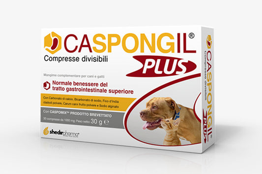 CASPONGIL PLUS 30 COMPRESSE SHEDIR PHARMA Srl Unipersonale